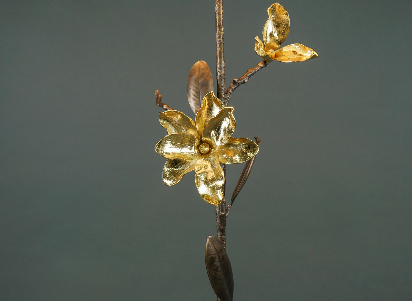 Magnolia