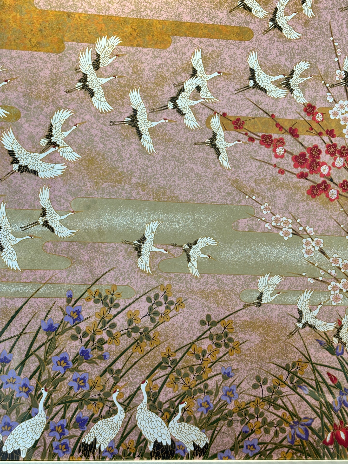 Flight Over the Sakura Valley