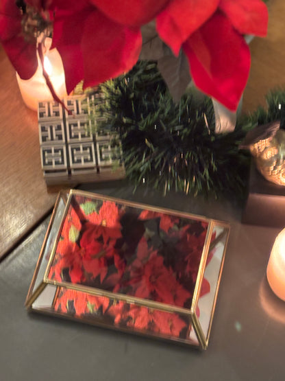 Poinsettia vintage mirror box
