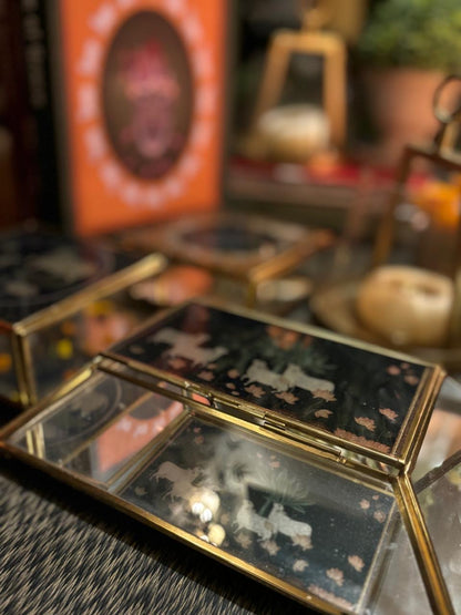 Reflections of Pichwai (glass box)