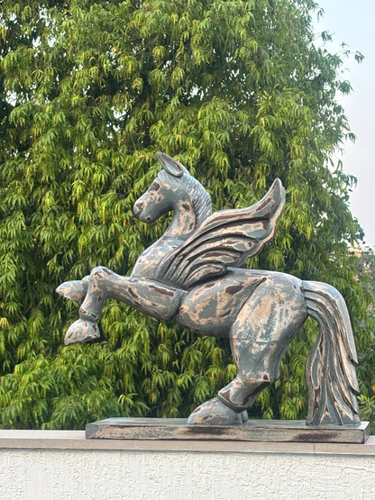 AsvaVayu