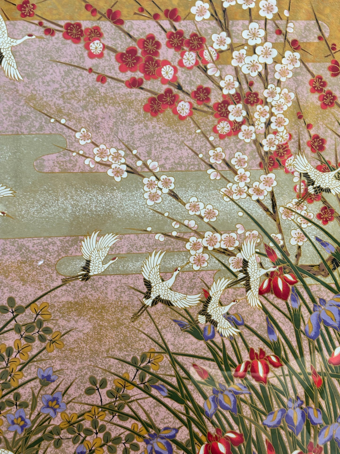 Flight Over the Sakura Valley