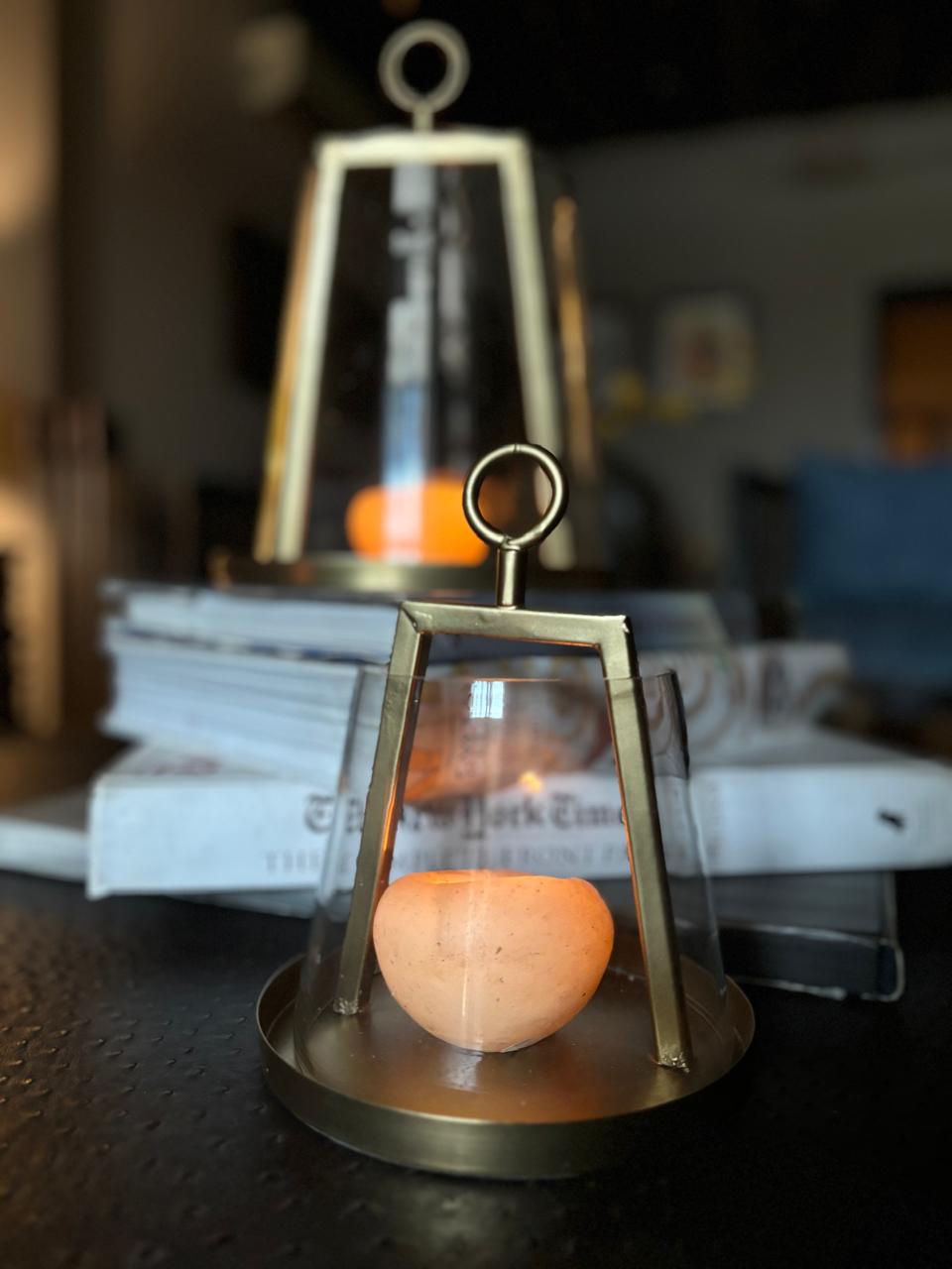 Pyralis (small)