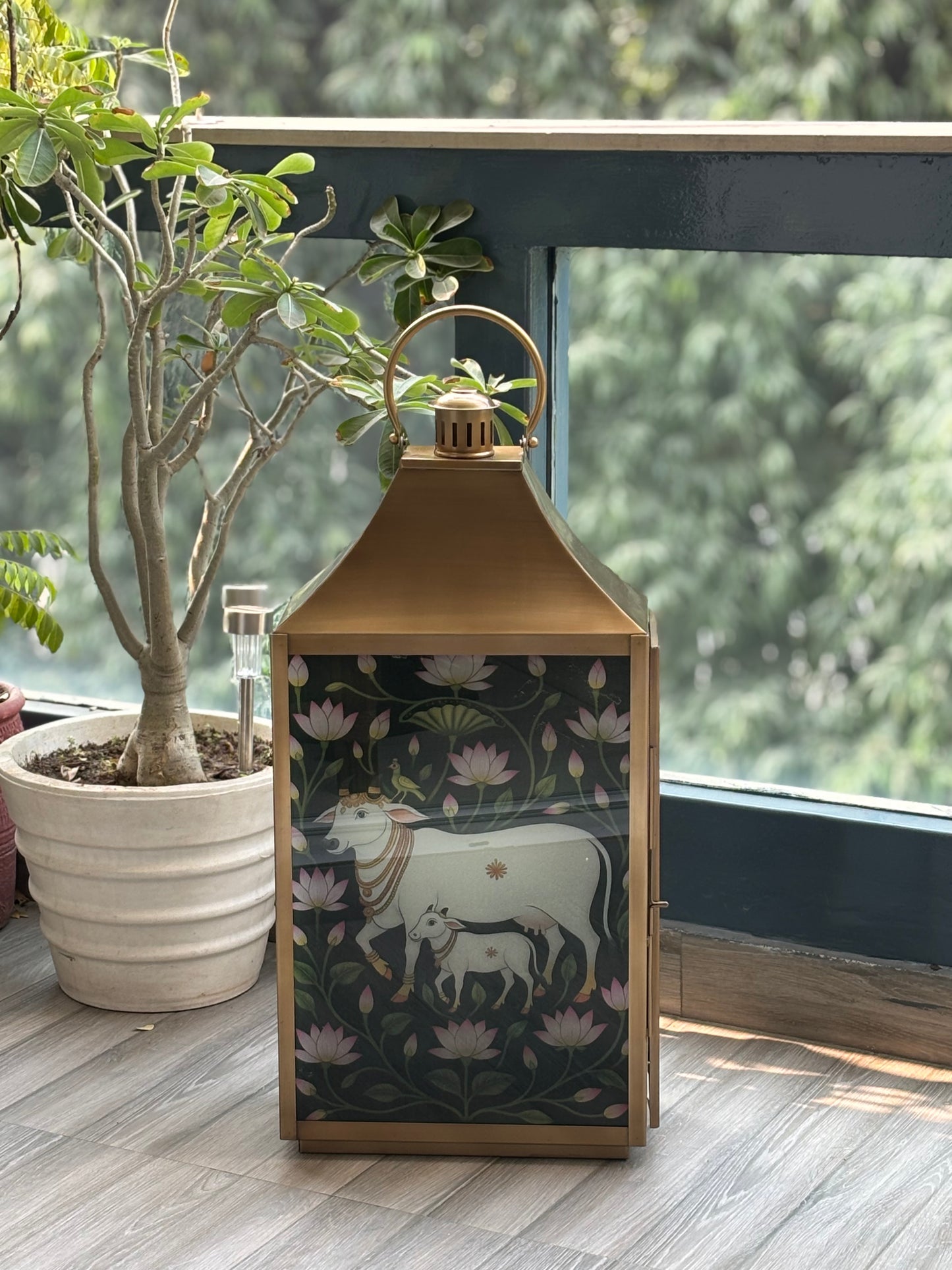 Lotus Pastures             cow & calf Lantern
