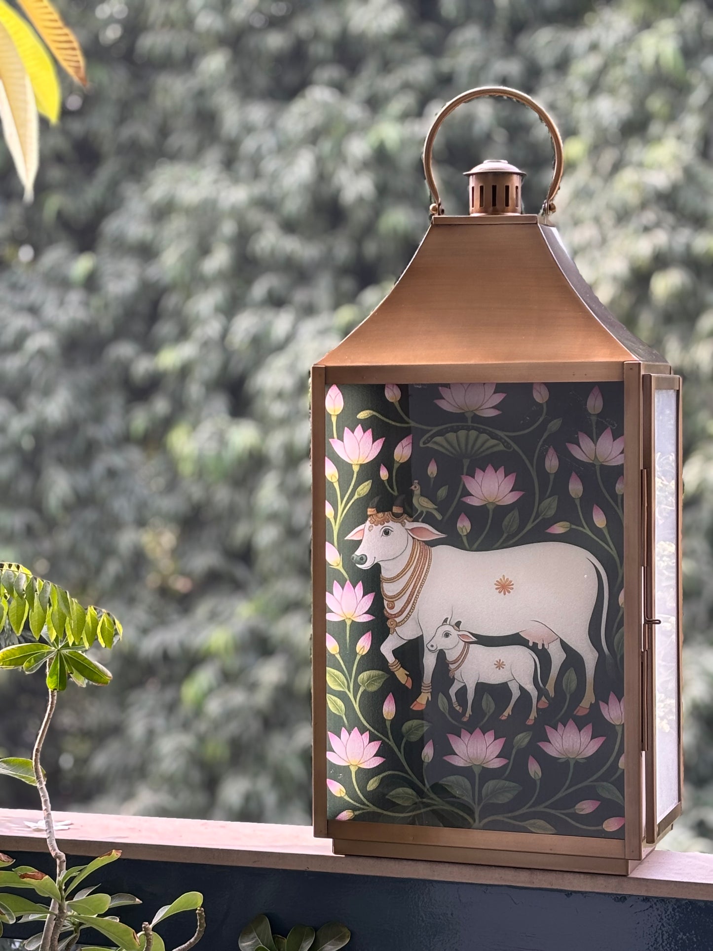 Lotus Pastures             cow & calf Lantern