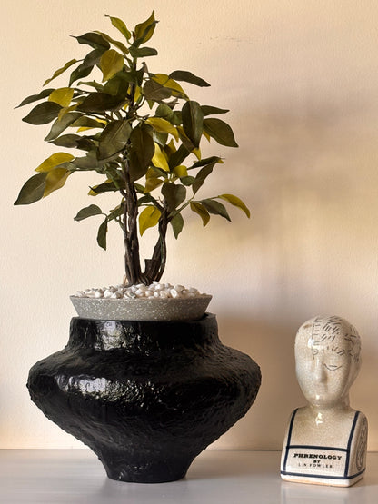 Ebon Earth Pot