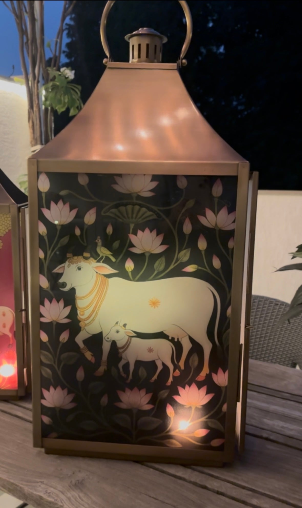 Lotus Pastures             cow & calf Lantern