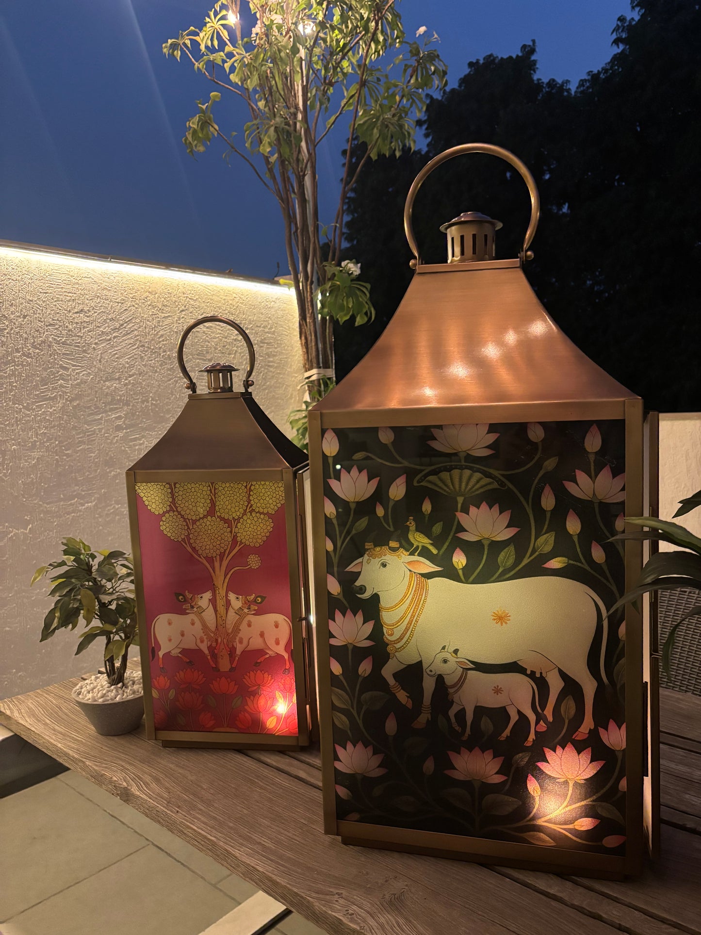 Lotus Pastures             cow & calf Lantern