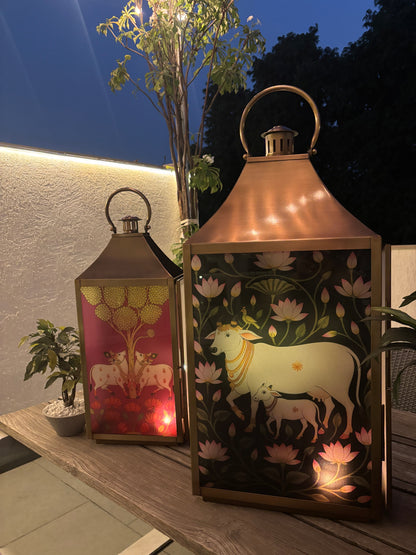 Lotus Pastures             cow & calf Lantern